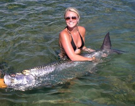 mda - tarpon-bikini.jpg